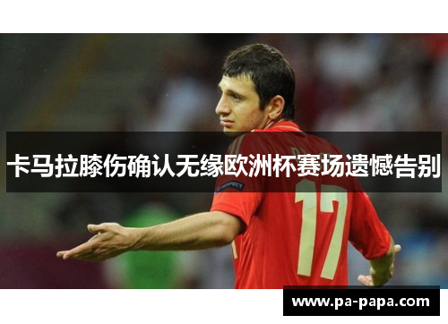 卡马拉膝伤确认无缘欧洲杯赛场遗憾告别