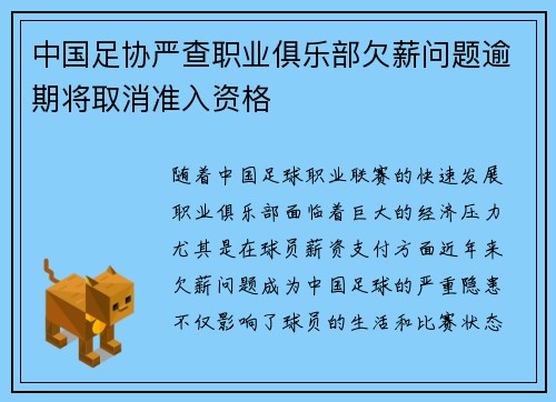 中国足协严查职业俱乐部欠薪问题逾期将取消准入资格